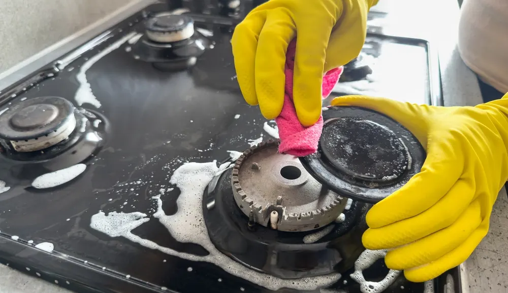 Domestic Cleaning Services