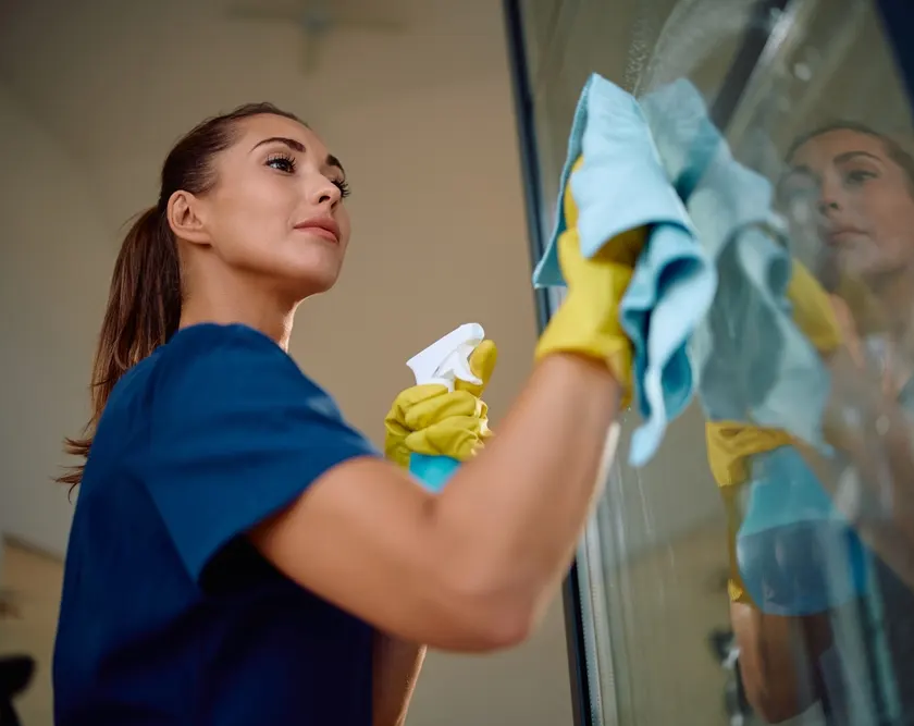 Window Cleaning